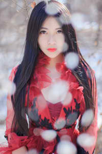 花戎 电视剧免费